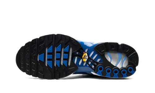 Nike Air Max Air Max Plus 'Light Streaks' 