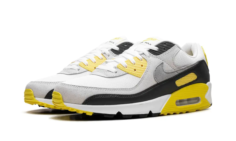 Nike Air Max Air Max 90 'White Lightning'