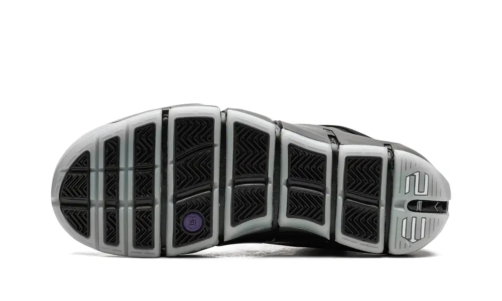 Nike Basketball LeBron 4 'Eggplant'