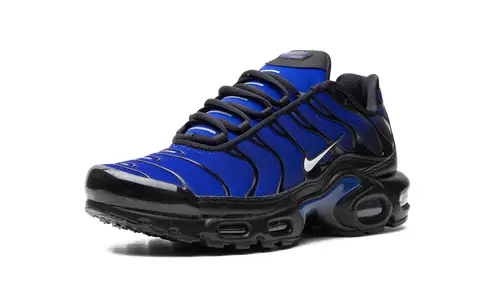 Nike Air Max AIR MAX PLUS 'Black'