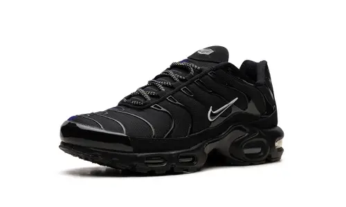 Nike Air Max Air Max Plus 'Berlin Unity'