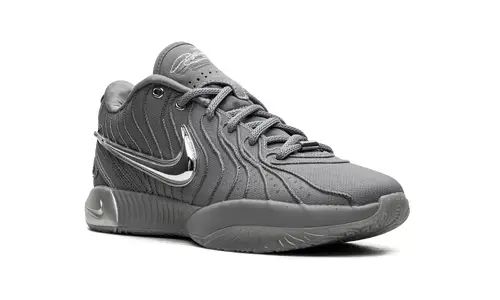 Nike Basketball LeBron 21 'Cool Grey' 