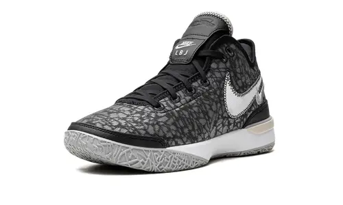 Nike Basketball Zoom LeBron NXXT Gen 'Black   Wolf Grey' 