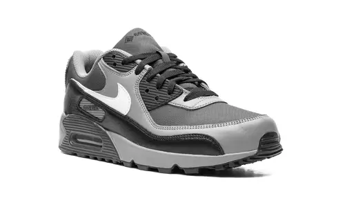 Nike Air Max Air Max 90 GORE-TEX 'Dark Smoke Grey' 