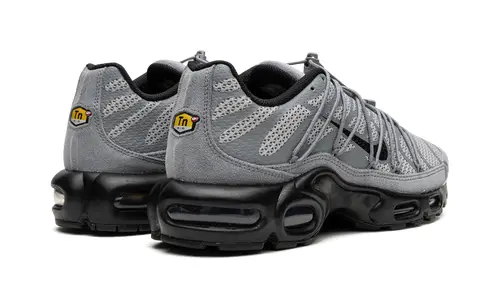 Nike Air Max Air Max Plus 'Bungee'