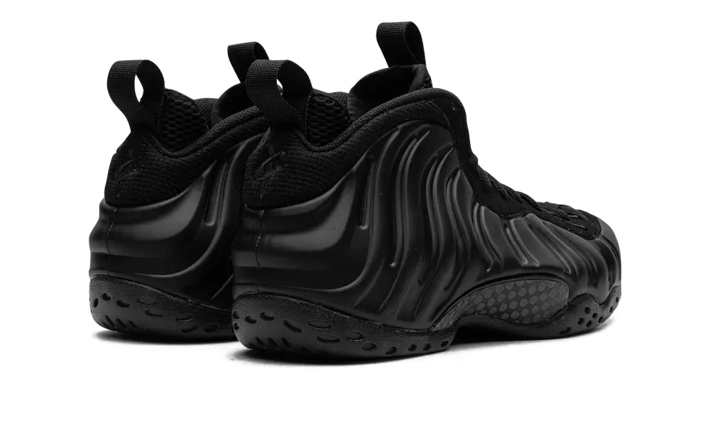 Nike Lifestyle Air Foamposite One 'Anthracite'