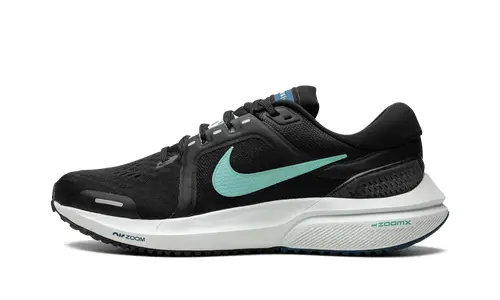Nike Basketball AIR ZOOM VOMERO 16 WMNS 'BLACK AURORA' 