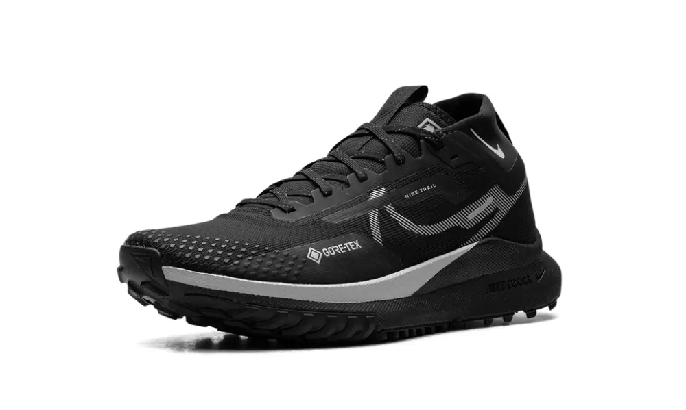 Nike Lifestyle WMNS React Pegasus Trail 4 GTX 'Reflect Silver'