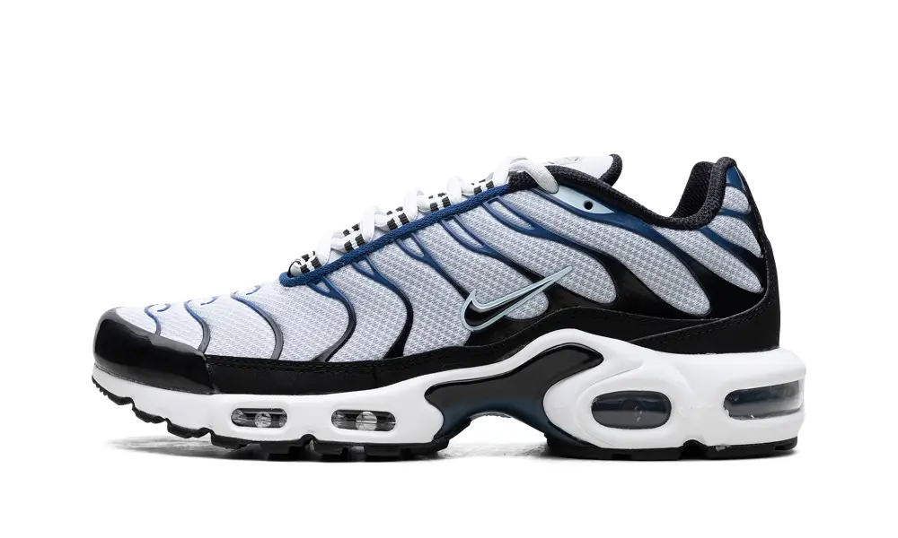 Nike Lifestyle Air Max Plus 'Pure Platinum/Black'