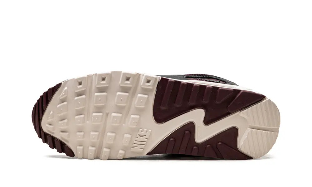 Nike Air Max Air Max 90 'Burgundy Crush'
