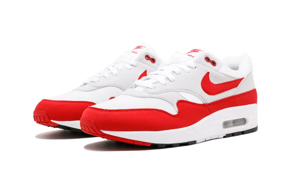 Nike Air Max Air Max 1 Anniversary 'Anniversary'