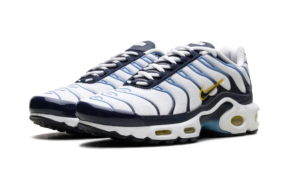 Nike Air Max Air Max Plus