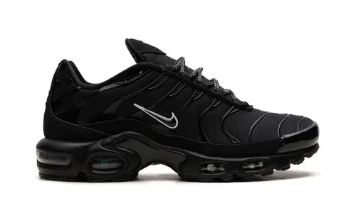 Nike Air Max Air Max Plus 'Berlin Unity'