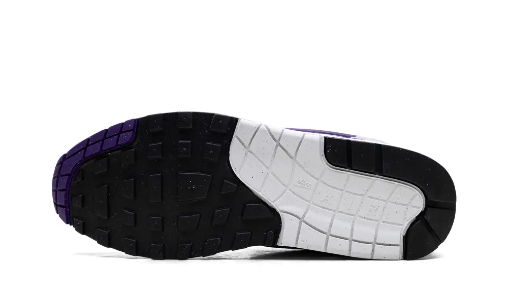 Nike Lifestyle Air Max 1 SC 'Field Purple' 