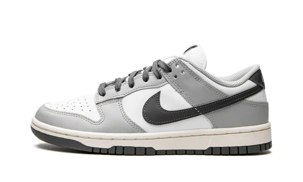 Nike Dunk DUNK LO MNS WMNS 'Light Smoke Grey' 