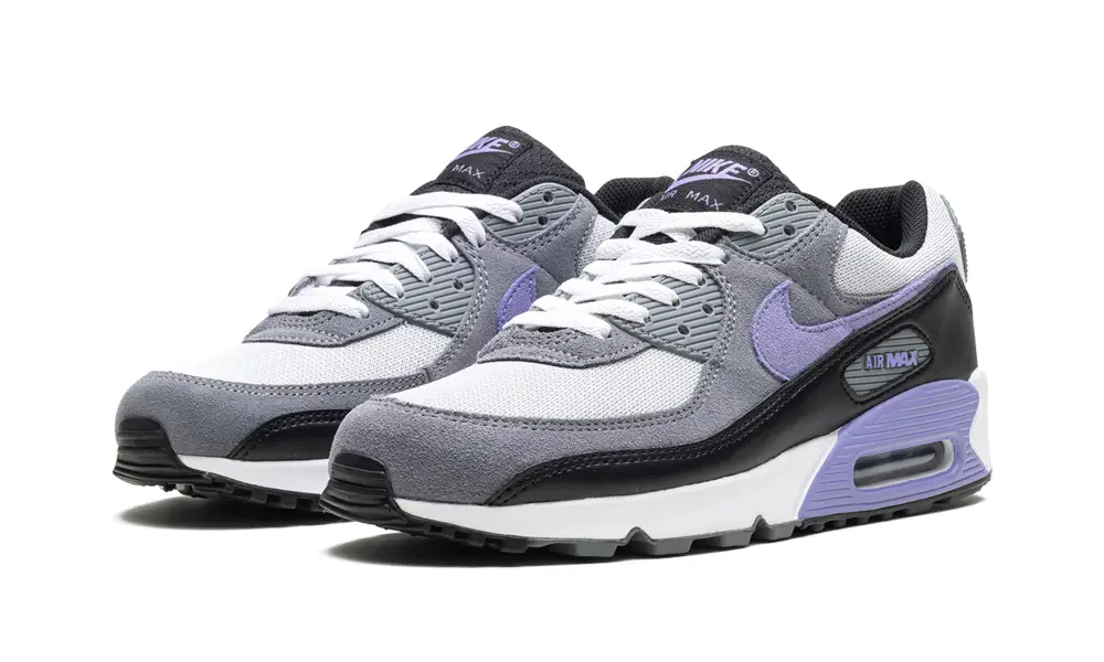 Nike Air Max Air Max 90 'Light Thistle' 