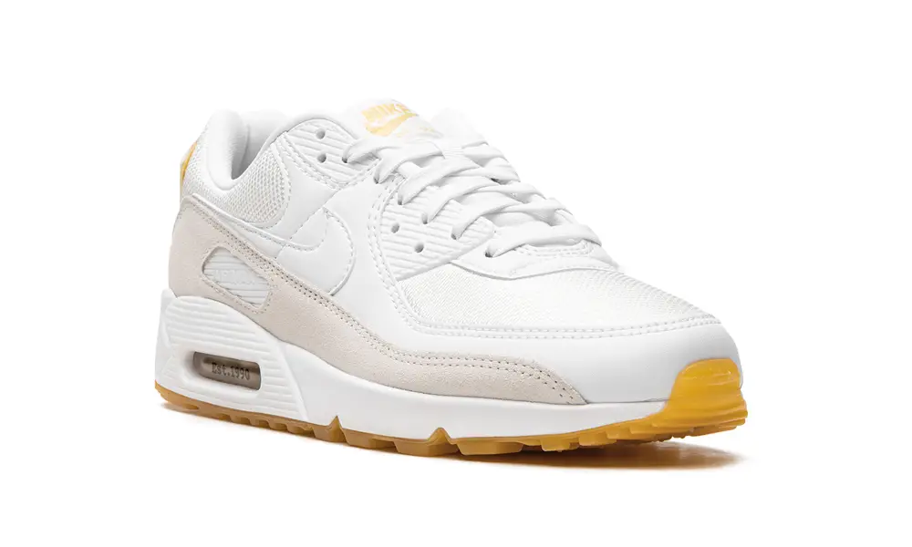 Nike Air Max Air Max 90 'Frank Rudy' 