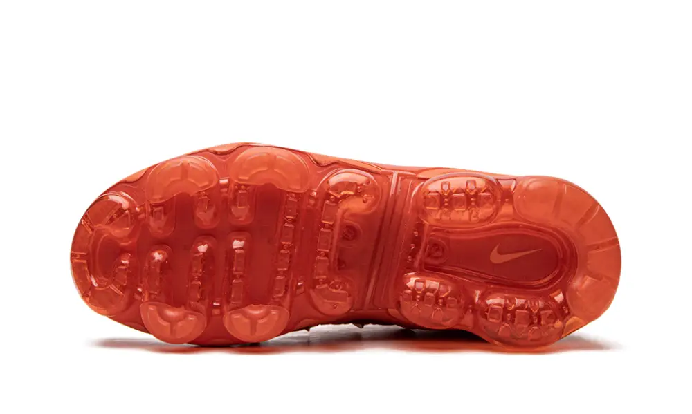 Nike Air Max AIR VAPORMAX PLUS WMNS 