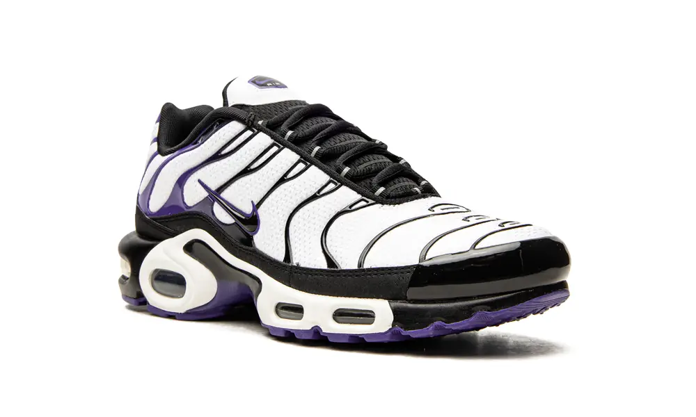 Nike Air Max Air Max Plus 'Persian Violet'