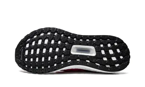 Adidas Ultraboost ULTRABOOST 19 WMNS 