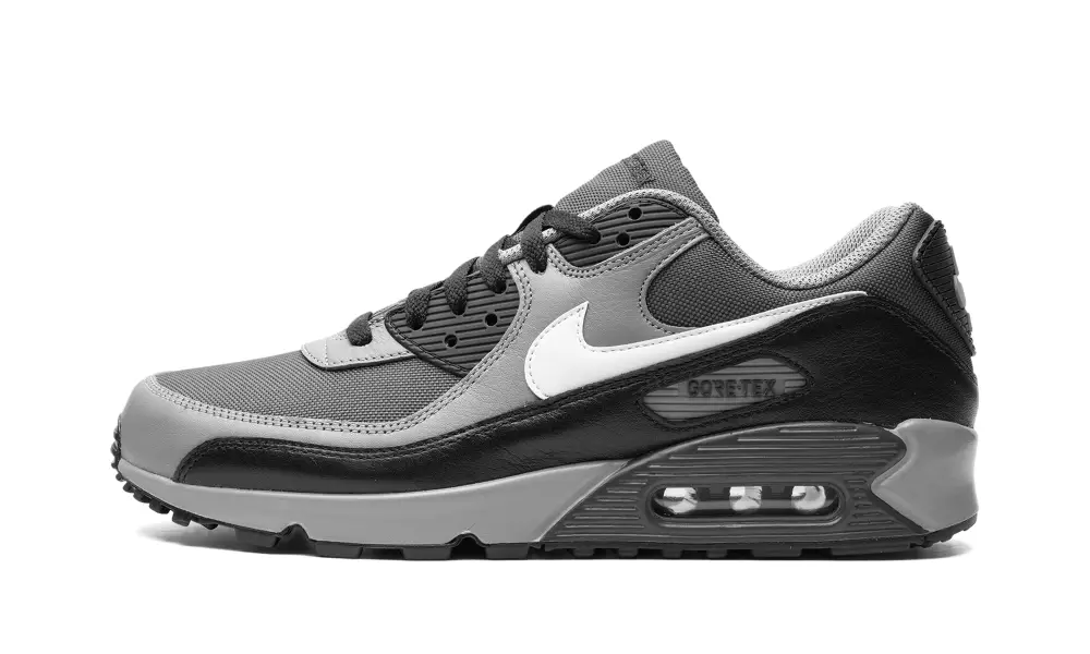 Nike Air Max Air Max 90 GORE-TEX 'Dark Smoke Grey' 