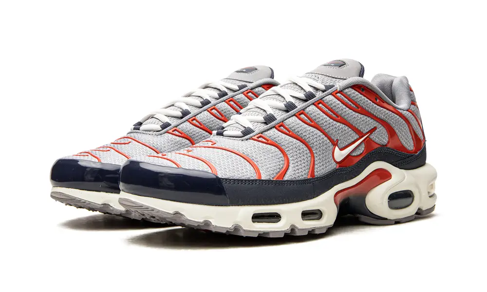 Nike Air Max Air Max Plus 'USA Grey' 