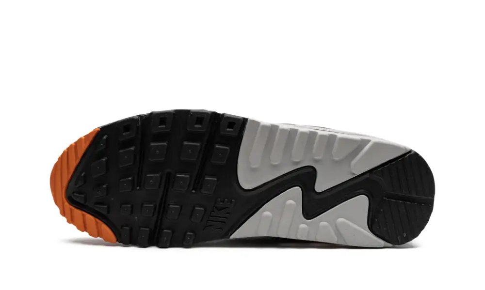 Nike Air Max Air Max 90 'Starfish' 