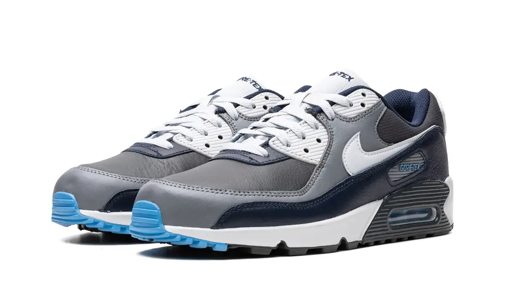 Nike Air Max Air Max 90 Gore-Tex 'Anthracite / Obsidian'