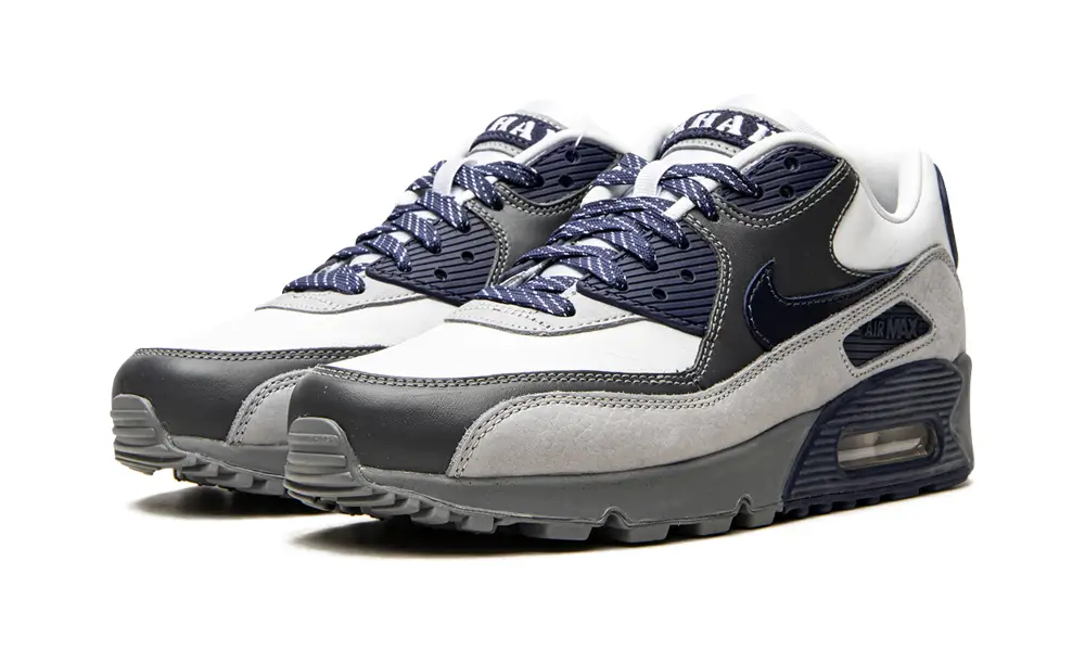 Nike Air Max Air Max 90 'Lahar Escape Grey' 
