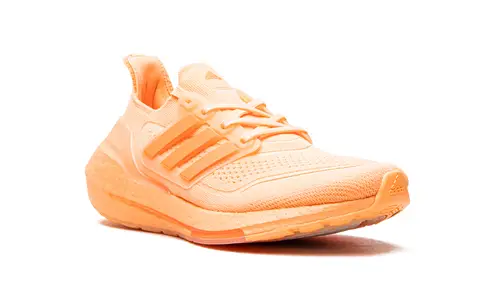 Adidas Ultraboost ULTRABOOST 21 WMNS 
