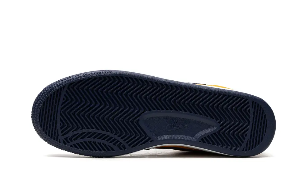 Nike Basketball Terminator Low OG 'Michigan'