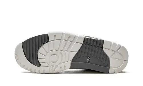 Nike Lifestyle Air Trainer 1 'Photon Dust' 