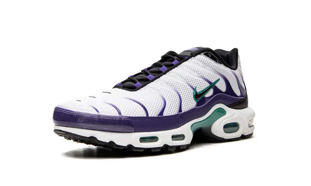 Nike Lifestyle Air Max Plus 'Grape'