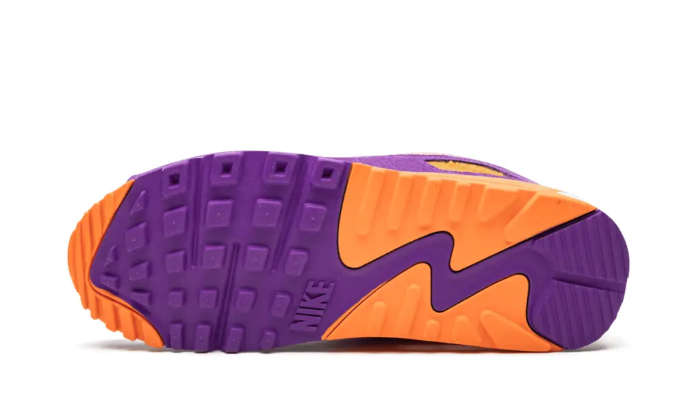 Nike Air Max Air Max 90 'Viotech'