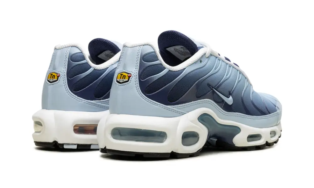 Nike Air Max NIKE AIR MAX PLUS WMNS 'Celestine Blue'