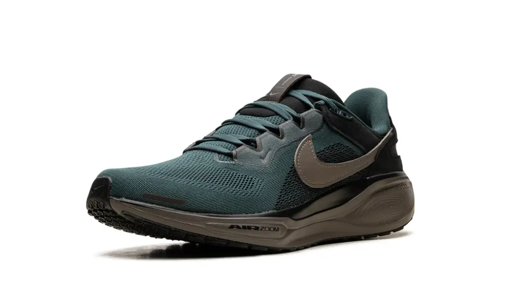 Nike Lifestyle Air Zoom Pegasus 41 SP 'Faded Spruce' 