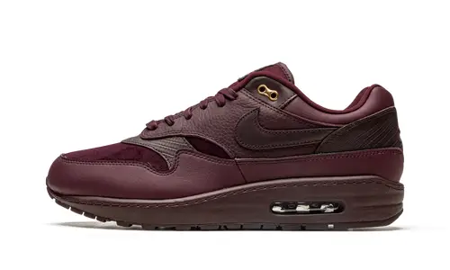 Nike Air Max AIR MAX 1 WMNS 'Burgundy Crush' 