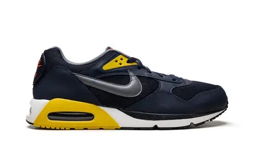 Nike Lifestyle Air Max Correlate 