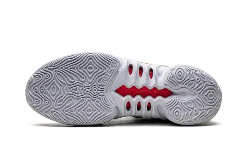 Nike Basketball Cosmic Unity 2