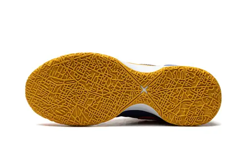 Nike Basketball Zoom LeBron NXXT Gen 'Titan' 