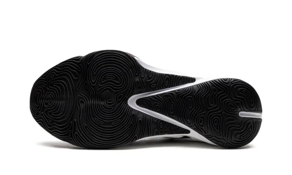 Nike Basketball ZOOM FREAK 3 'The OG' 