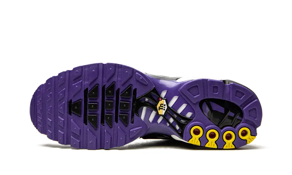 Nike Air Max Air Max Plus 'Persian Violet' 