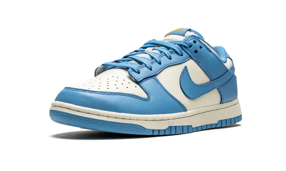 Nike Dunk DUNK LOW WMNS 'Coast' 