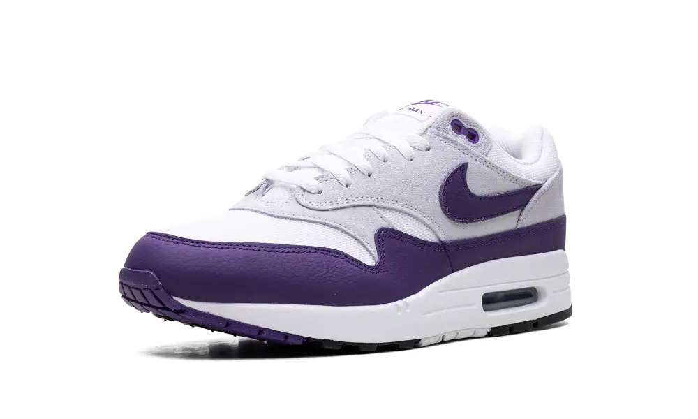 Nike Lifestyle Air Max 1 SC 'Field Purple' 