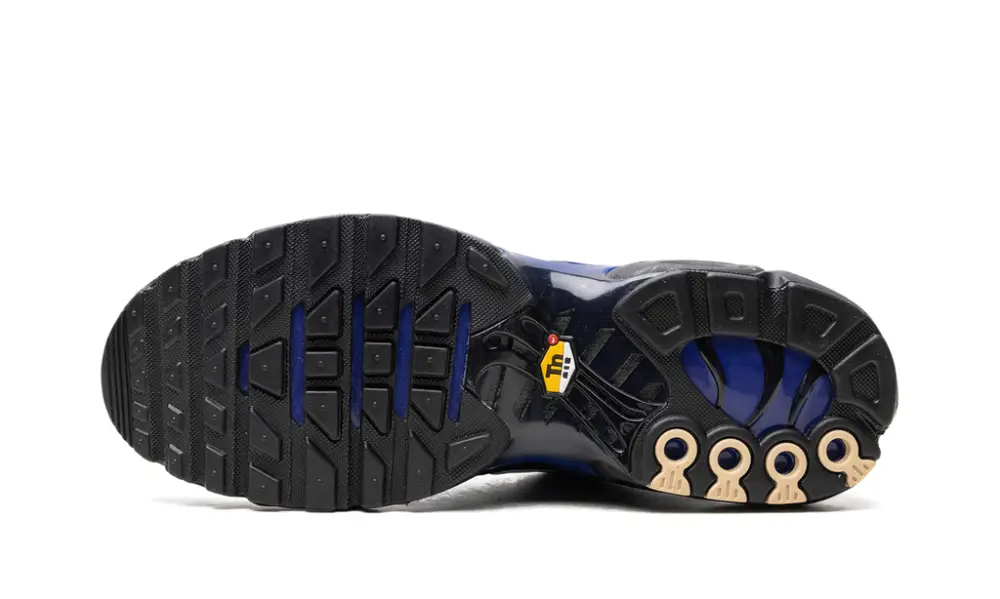 Nike Air Max AIR MAX PLUS 'Black'