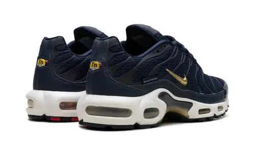 Nike Air Max Air Max Plus 'FFF' 