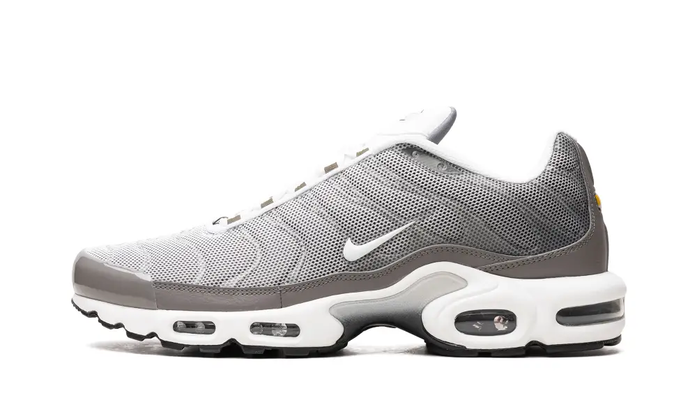 Nike Air Max Air Max Plus SE 'Flat Pewter'