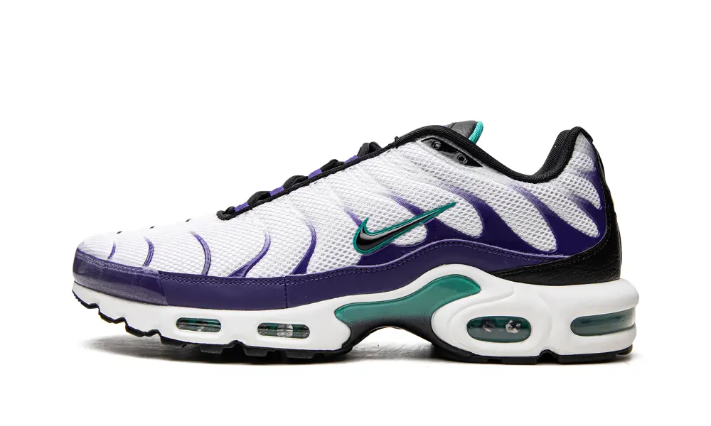 Nike Lifestyle Air Max Plus 'Grape' 
