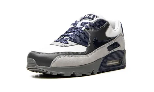 Nike Air Max Air Max 90 'Lahar Escape Grey' 