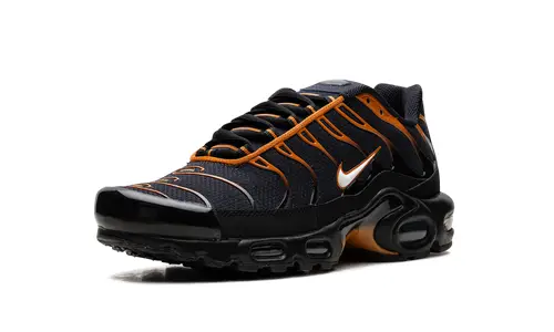 Nike Air Max Air Max Plus 'OBSIDIAN MONARCH'